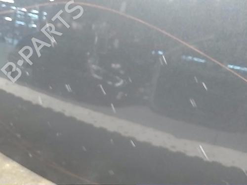 Hood CITROËN C3 I (FC_, FN_)  | BP21060605C1 