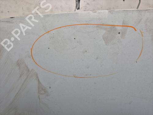 Cofano anteriore RENAULT KANGOO Express (FW0/1_)  | BP30447314C1 