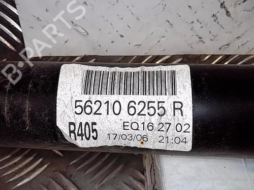 Right rear shock absorber RENAULT SCÉNIC IV (J9_) 1.3 TCe 140 | BP13854455M19 