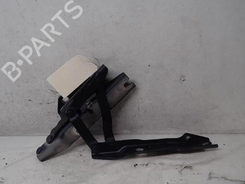 Hinge/Door check strap BMW 5 (E60) 530 d | BP16566598C146 