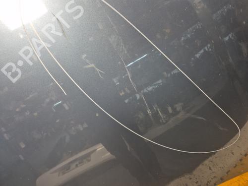 Hood PEUGEOT 406 (8B) 2.0 HDI 110 | BP24441841C1 