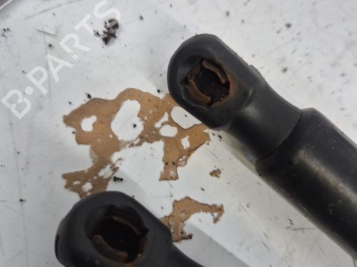 Tailgate lift support AUDI Q5 (8RB) 2.0 TDI quattro | BP32291386C138