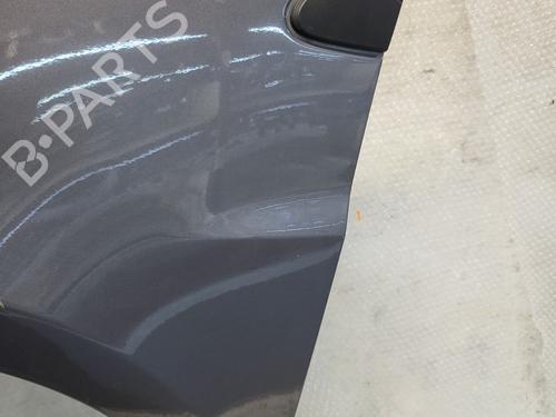 Forkjerm venstre RENAULT CLIO III (BR0/1, CR0/1) 1.2 16V (BR02, BR0J, BR11, CR02, CR0J, CR11) | BP30840470C41