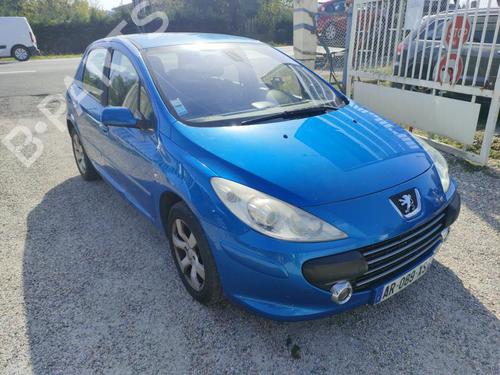 Left front door PEUGEOT 307 (3A/C) 1.6 HDi 110 | BP24419500C2 