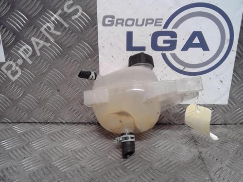 Expansion tank RENAULT TWINGO III (BCM_, BCA_)  | BP13860619C120 