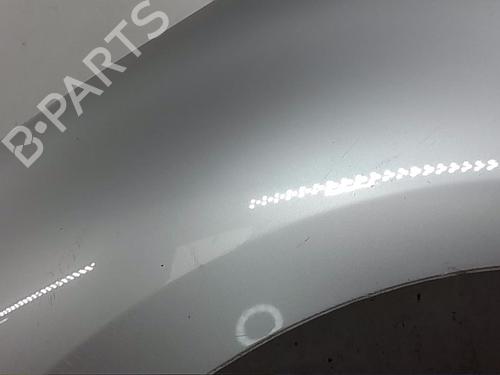 Used Left front fenders RENAULT SCÉNIC III (JZ0/1_) 1.9 dCi (JZ0J, JZ1J, JZ1K, JZ1S) (131 hp) 17609261
