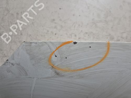 Cofano anteriore RENAULT KANGOO Express (FW0/1_)  | BP30447314C1 