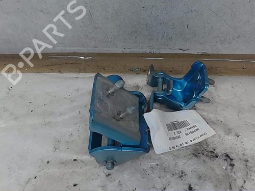 Used Hinge/Door check strap RENAULT ZOE (BFM_) [2012-2025]  19281778