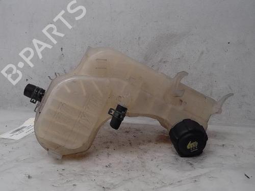 Used Expansion tank RENAULT LAGUNA Coupe (DT0/1) 2.0 dCi (DT01, DT08, DT09, DT0K, DT12, DT1C, DT1D, DT1M,... (150 hp) 16566908