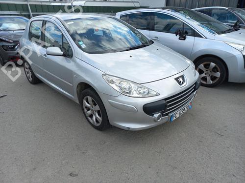 Hood PEUGEOT 307 (3A/C) 1.6 HDi 110 | BP13829488C1 