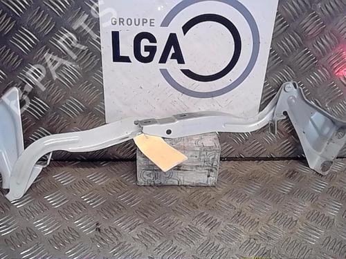 Used Hinge/Door check strap RENAULT KADJAR (HA_, HL_) 1.3 TCe 140 (HLNB, HLN1) (140 hp) 14557511
