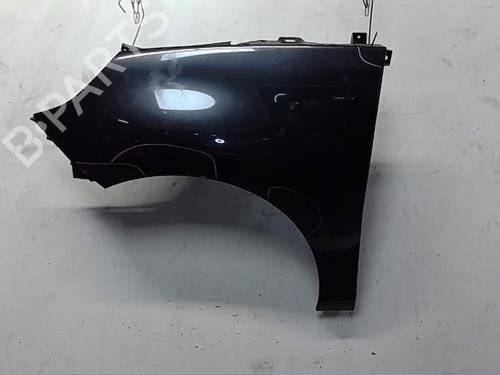 Used Left front fenders RENAULT SCÉNIC III (JZ0/1_) 1.9 dCi (JZ0J, JZ1J, JZ1K, JZ1S) (131 hp) 20713756