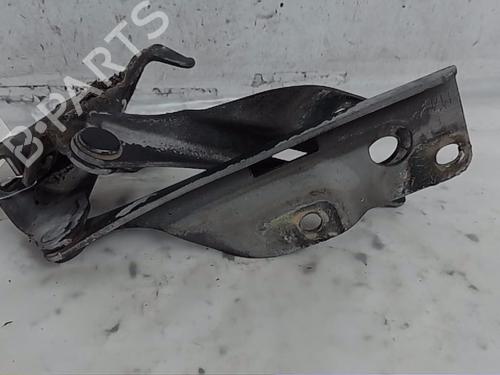 Hinge/Door check strap NISSAN PATHFINDER III (R51) 2.5 dCi 4WD | BP21179665C146 