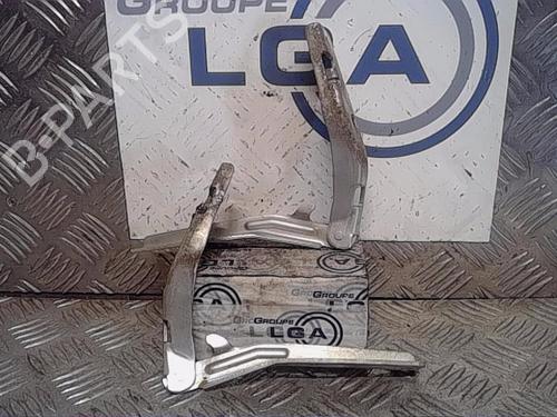 Used Hinge/Door check strap PEUGEOT 206 Hatchback (2A/C) [1998-2012]  14554134