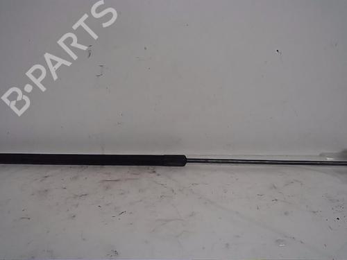 Used Hood lift support VW GOLF V (1K1) [2003-2010]  14561062