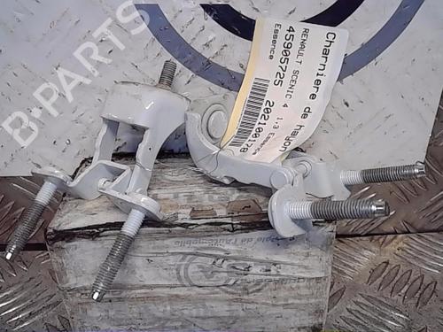 Hinge/Door check strap RENAULT SCÉNIC IV (J9_) 1.3 TCe 160 (J9NC) 904006206R