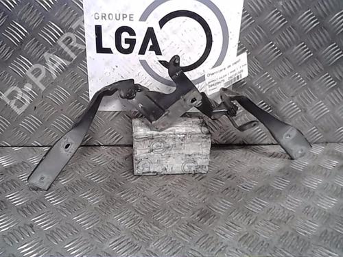 Used Hinge/Door check strap RENAULT KOLEOS I (HY_) 2.0 dCi 4x4 (HY0B) (173 hp) 14558925