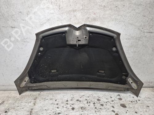 Hood CITROËN C4 Picasso I MPV (UD_)  | BP29195663C1 