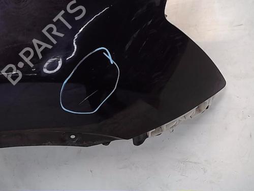 Used Right front fenders NISSAN QASHQAI / QASHQAI +2 I (J10, NJ10, JJ10E) 2.0 dCi (150 hp) 16896060