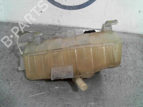 Expansion tank RENAULT KANGOO Express (FW0/1_)  | BP13867908C120 