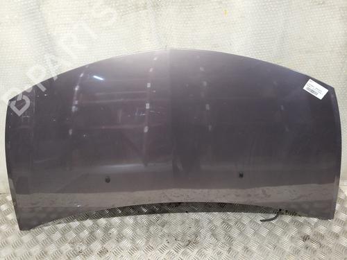 Capot RENAULT CLIO III (BR0/1, CR0/1) [2005-2014]  30824612