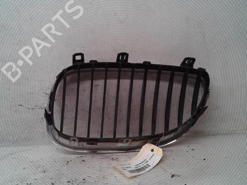 Grille BMW 5 (E60) 530 d | BP16566744C40 