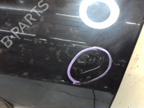 Left front door RENAULT ESPACE IV (JK0/1_) 2.0 dCi (JK01, JK02, JK1J, JK1K, JK1H) | BP19773772C2 