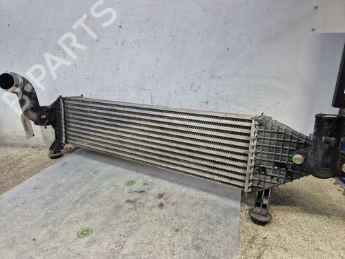 Used Intercooler NISSAN QASHQAI I (J10, NJ10) [2006-2015]  29845982