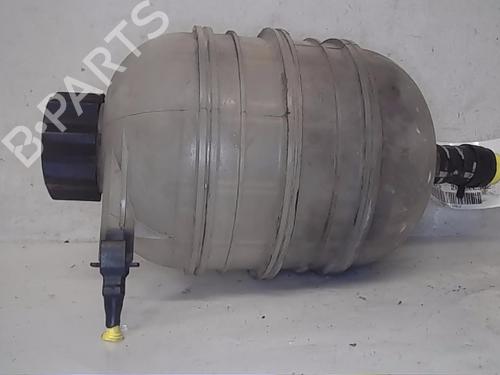 Expansion tank PEUGEOT 206 CC (2D)  | BP13842532C120 