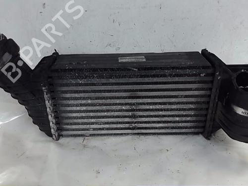 Used Intercooler PEUGEOT RCZ 2.0 HDi (163 hp) 21127408