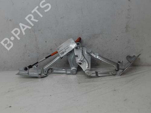 Hinge/Door check strap VW GOLF PLUS V (5M1, 521) 1.9 TDI | BP15394382C146 
