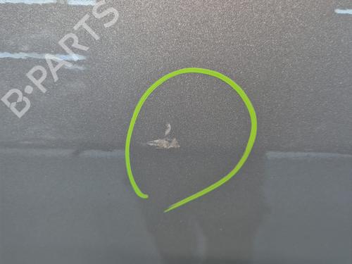 Left rear door RENAULT SCÉNIC III (JZ0/1_) 1.5 dCi | BP29263490C4 