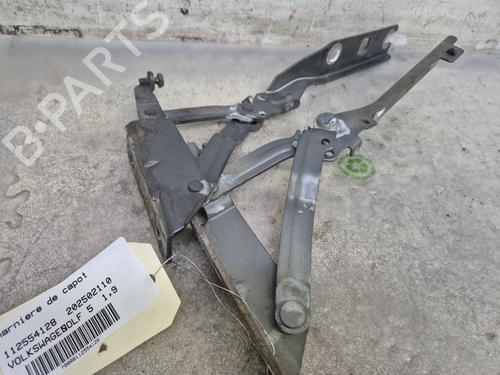 Used Hinge/Door check strap VW GOLF V (1K1) 1.9 TDI 4motion (105 hp) 29600900