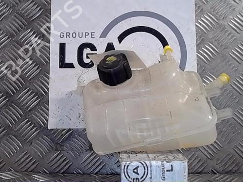 Ekpansionstank RENAULT FLUENCE (L3_) 1.5 dCi (L30D, L30L, L306, L33F, L33L, L33M, L33V, L33W) (110 hp) 13853987