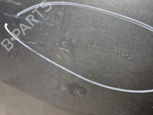 Left front door NISSAN PATHFINDER III (R51) 2.5 dCi 4WD | BP27095164C2 