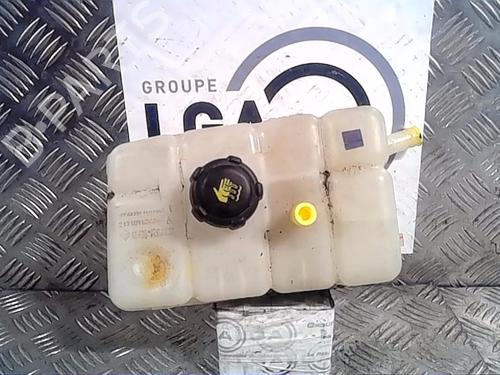 Used Expansion tank RENAULT ESPACE V (JR_) 2.0 Blue dCi 160 (JRAM) (160 hp) 13856269