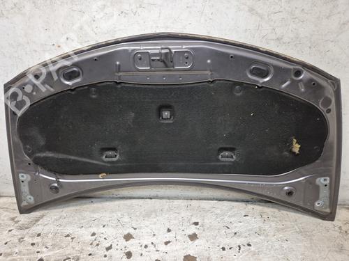 Hood RENAULT CLIO III (BR0/1, CR0/1)  | BP28051058C1 