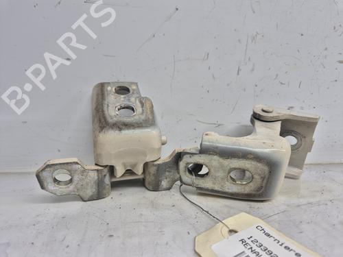 hingedoor-check-strap-renault-captur-i-j5_-h5_-2013-33808009 main image