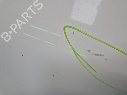 Left front door NISSAN QASHQAI I (J10, NJ10) 1.5 dCi | BP29170871C2 