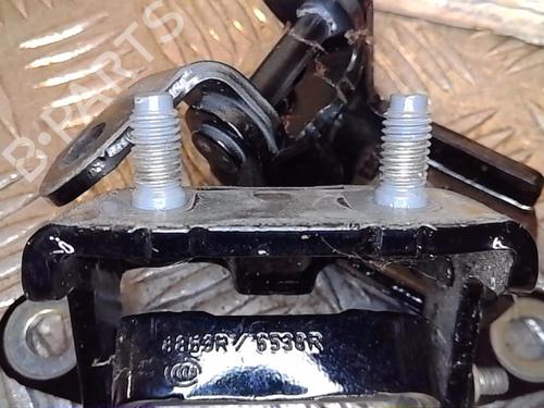 Hinge/Door check strap RENAULT KADJAR (HA_, HL_) 1.2 TCe 130 (HLMR) | BP14556266C146 