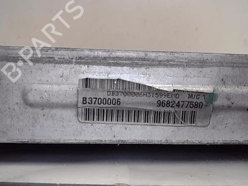 Køler PEUGEOT 3008 I MPV (0U_) [2009-2017]  13842788