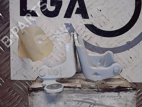 Hinge/Door check strap RENAULT SCÉNIC IV (J9_) 1.3 TCe 160 (J9NC) | BP14556434C146 