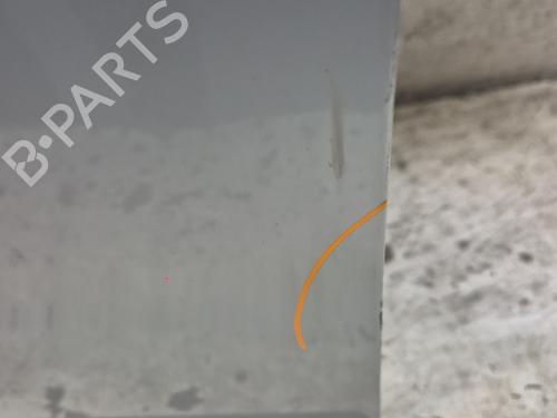 Left front door DACIA SANDERO  | BP30187724C2 