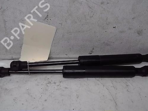 Used Hood lift support RENAULT ZOE (BFM_) [2012-2025]  14564186