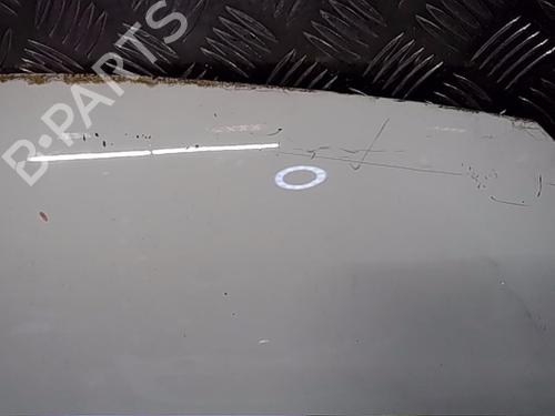 Hood RENAULT TWINGO III (BCM_, BCA_) 0.9 TCe 90 (BCM9, BCM2) | BP13854914C1