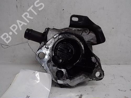 Vacuum pump RENAULT CLIO III (BR0/1, CR0/1) | BP13842452M80