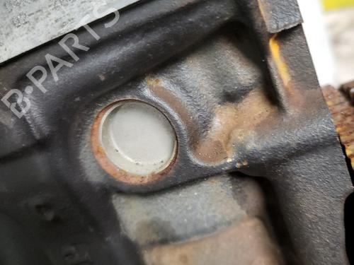 Engine RENAULT CLIO III (BR0/1, CR0/1)  | BP30955319M1 