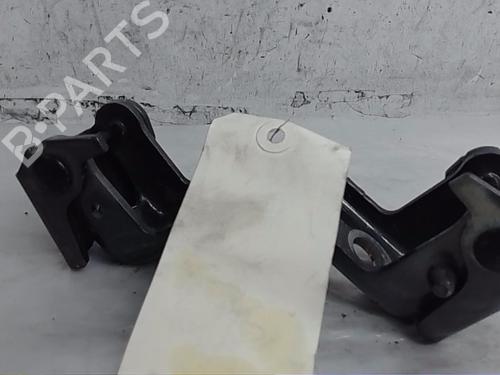 Hinge/Door check strap PEUGEOT 208 II (UB_, UP_, UW_, UJ_) 1.2 PureTech 130 | BP22187762C146 