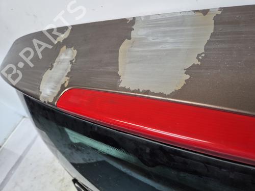 Tailgate RENAULT SCÉNIC III (JZ0/1_) 1.9 dCi (JZ0J, JZ1J, JZ1K, JZ1S) | BP32291285C6