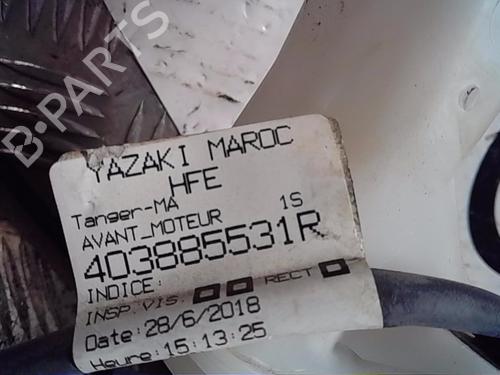 Used Brake master cylinder RENAULT KADJAR (HA_, HL_) 1.3 TCe 140 (HLNB, HLN1) (140 hp) 14522060